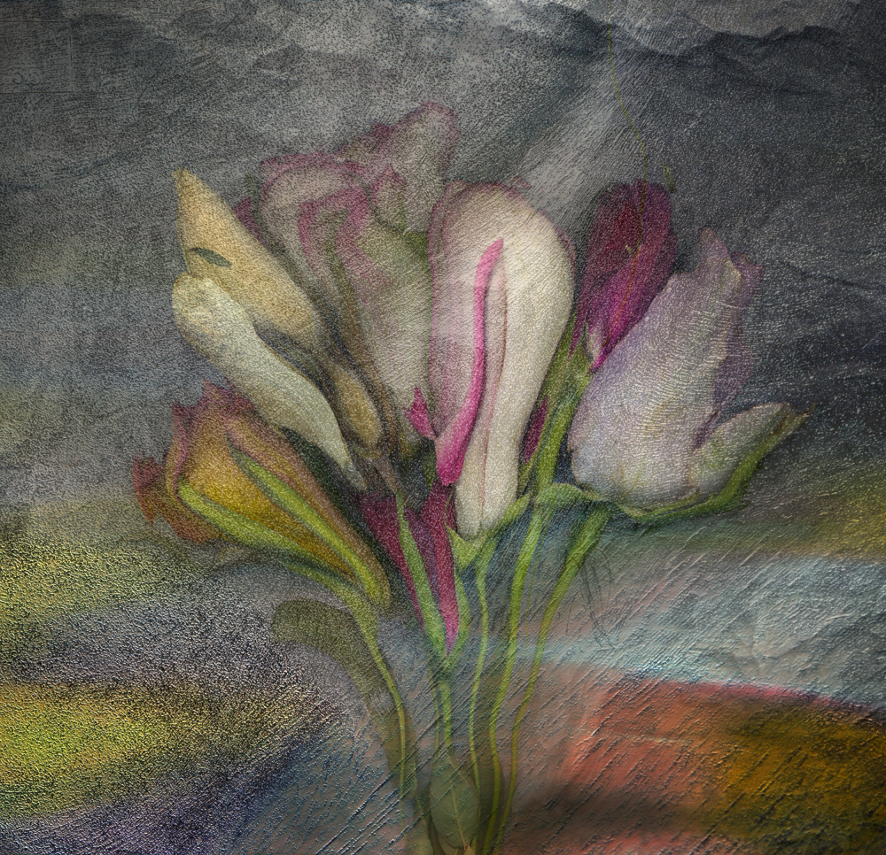 Elegant Textured Flowers by Harry Verschelden — canvas wall art