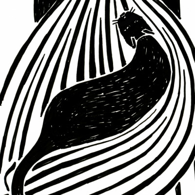 Black Cat Lines