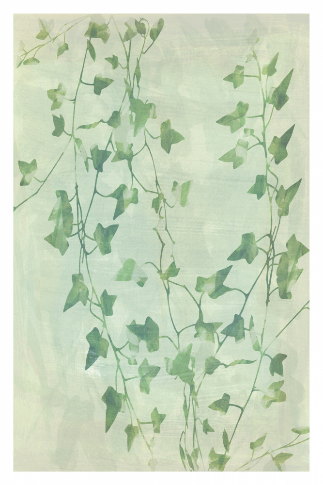 Delicate Green Ivy Vines by cartissi — canvas wall art