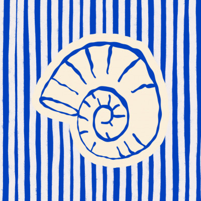 Blue Striped Nautilus
