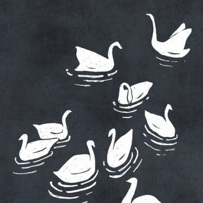 Elegant Swans Drawing