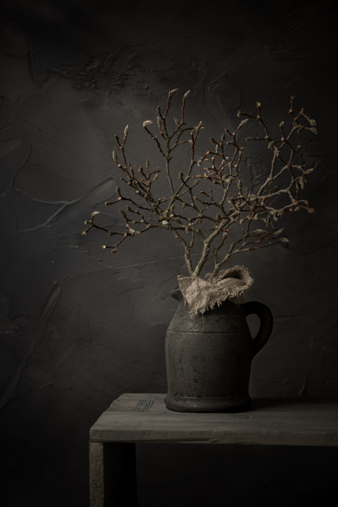Rustic Branch Still Life by Mayra Pama — canvas wall art