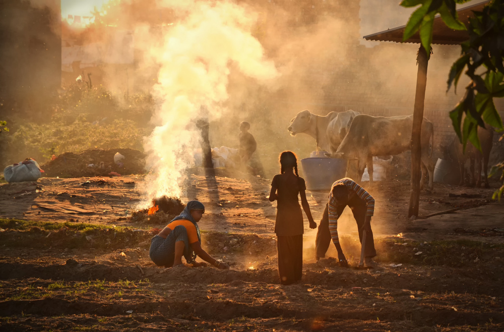 Golden Hour Village Life by Lou Urlings — canvas wall art