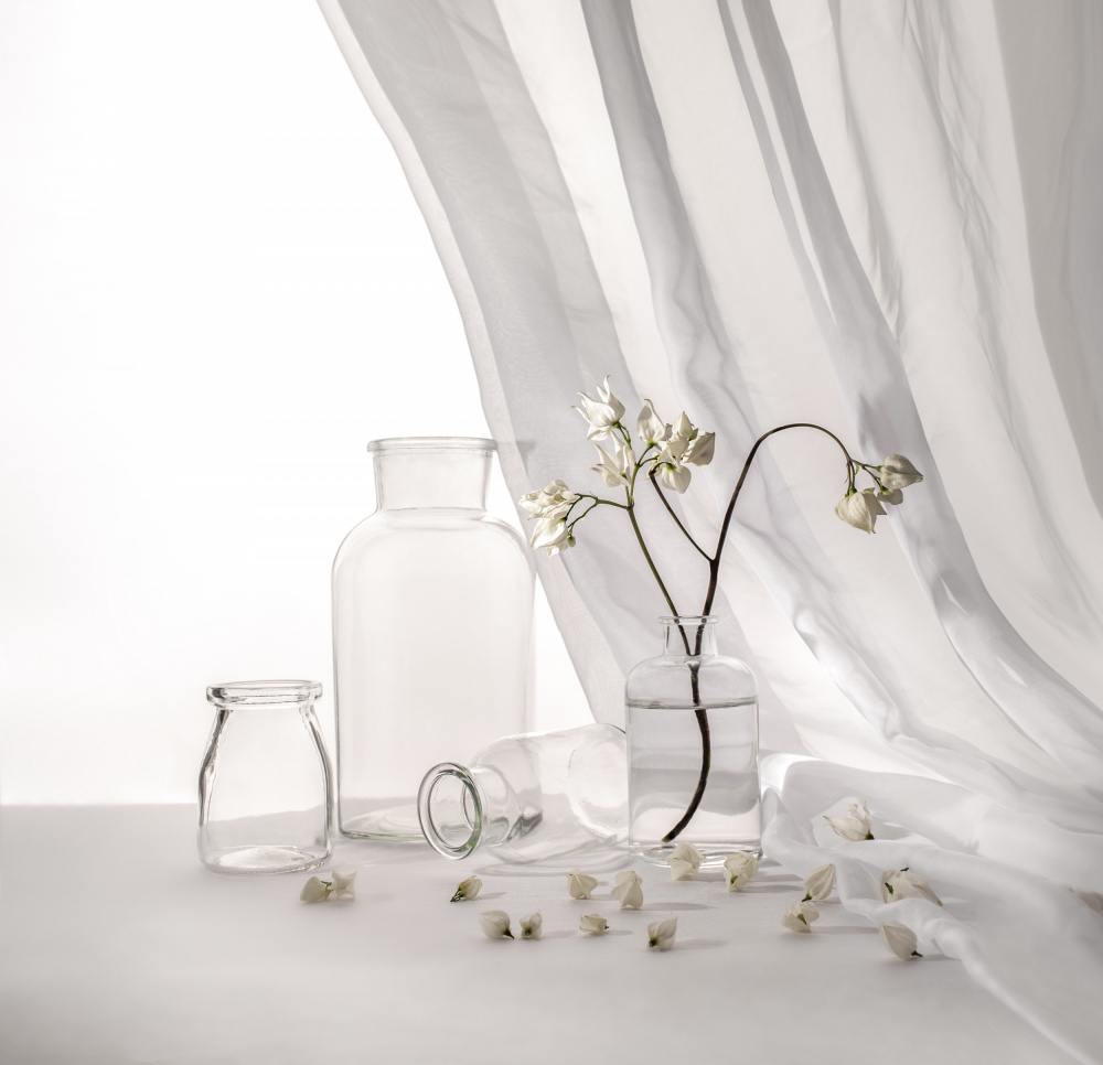 White Floral Still Life by Margareth Perfoncio — canvas wall art