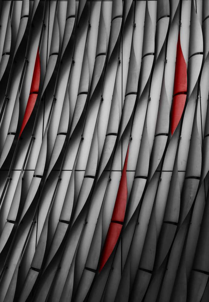 Modern Bamboo Accent by Charles Cho — canvas wall art