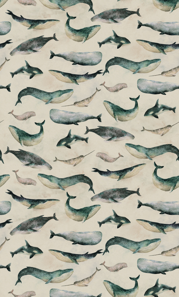 Watercolor Whales Pattern by Hendon Lane — canvas wall art