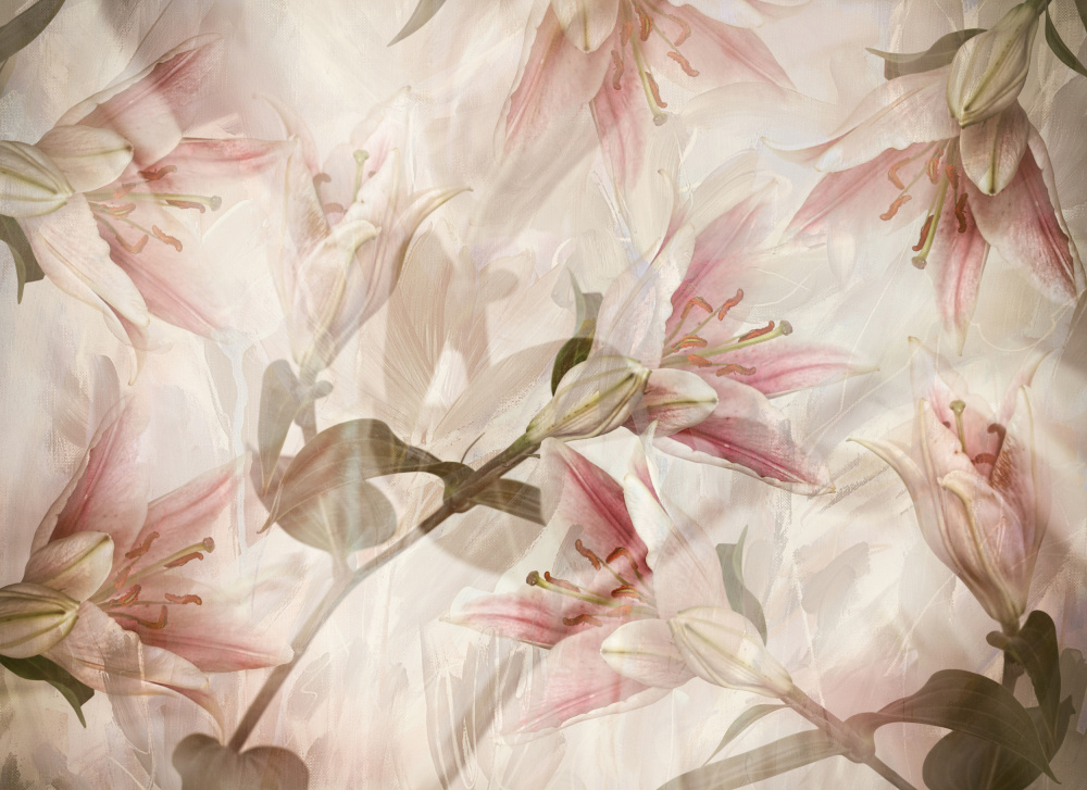 Pink Lily Dream by Ellen van Deelen — canvas wall art