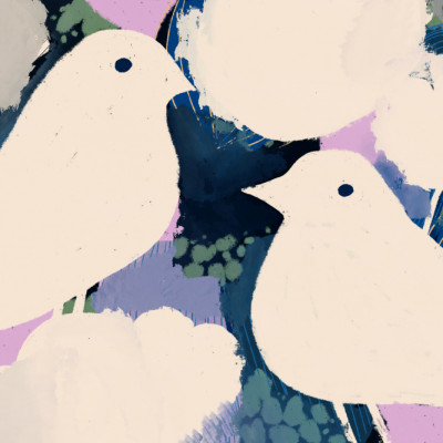 Petalbirds