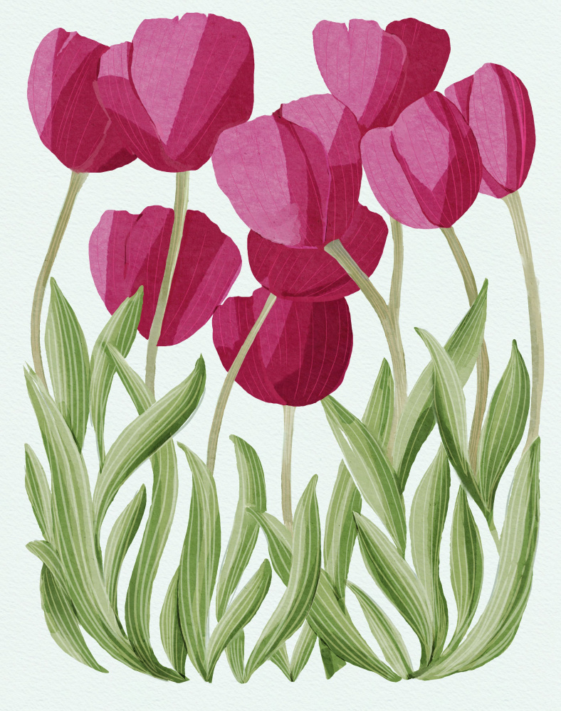 Tulips.png by Katie O'Shea — canvas wall art