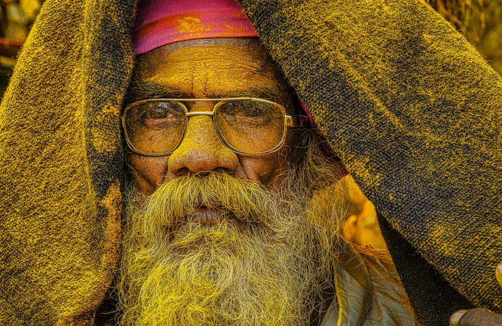 Yellow Powdered Elder by Rahul Wedpathak — canvas wall art