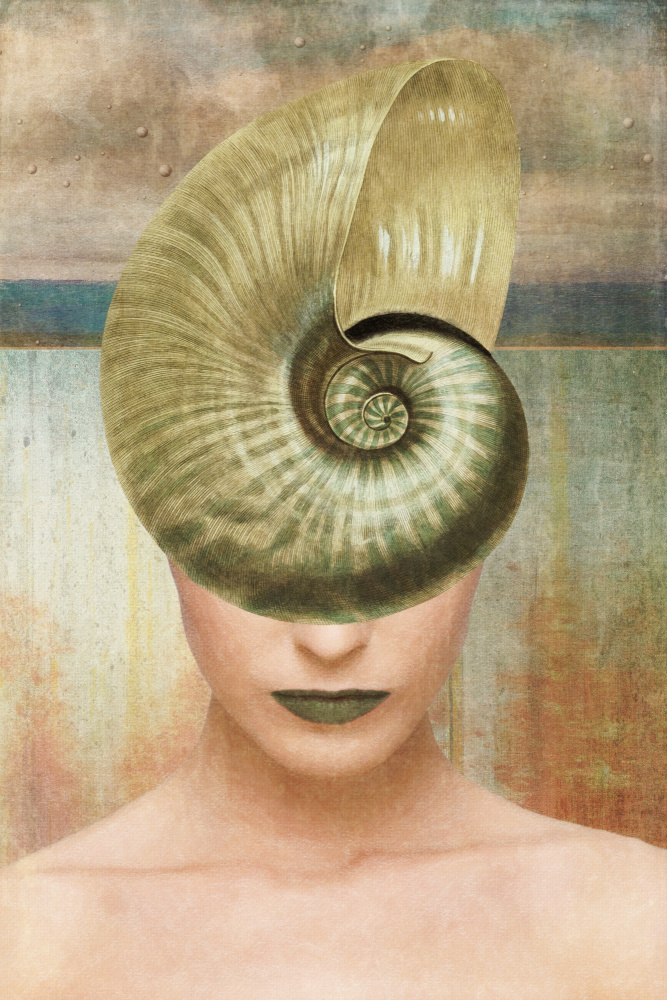 Nautilus Shell Portrait by Marja van den Hurk — canvas wall art
