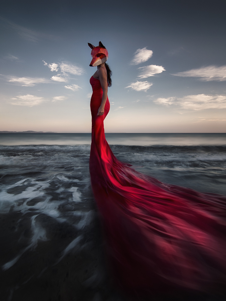 Ethereal Fox Mask Gown by Maria Kaimaki — canvas wall art