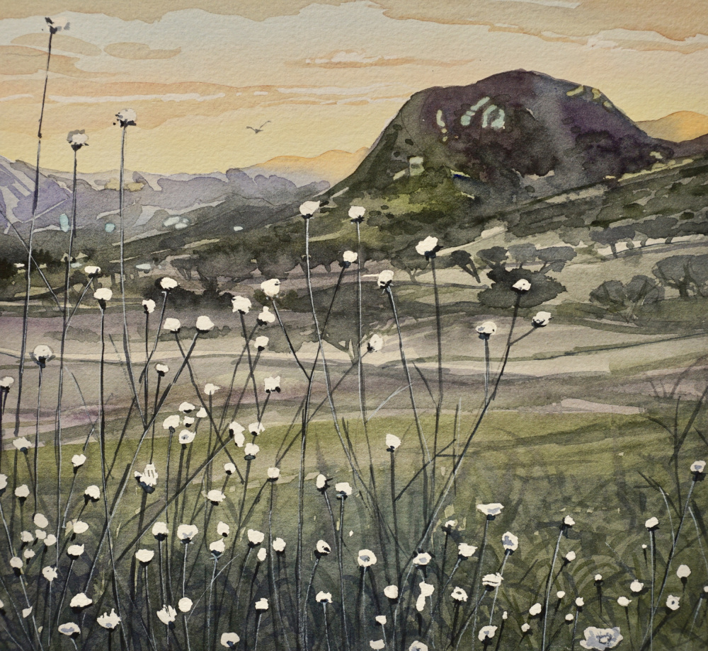 Golden Sky Wildflowers by Luisa Millicent — canvas wall art