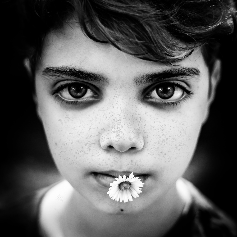 Boy With Daisy Flower by Evelina Petkova — canvas wall art