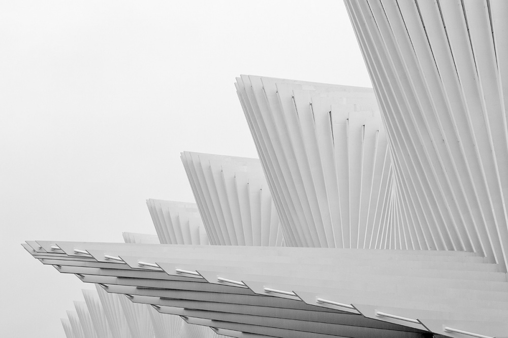 Flowing Architectural Forms by Massimo Della Latta — canvas wall art