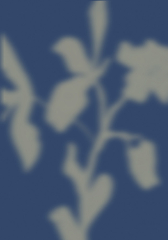 Blue Botanical Dreams by THE MIUUS STUDIO — canvas wall art