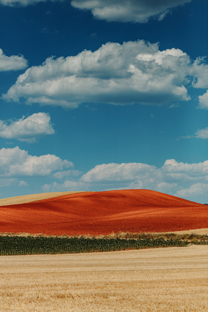 Red Field Blue Sky by Javier Pardina — canvas wall art