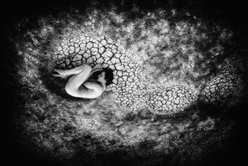 Curled Figure Dry Earth by Miki Meir Levi — canvas wall art