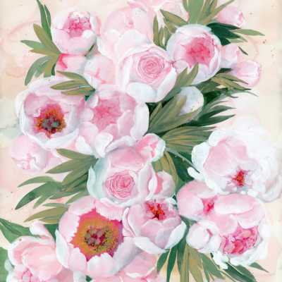 Blushing Peony Blooms