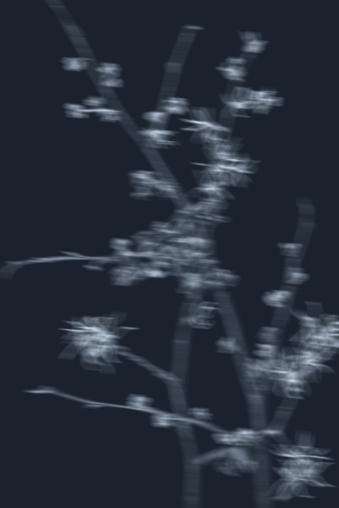 Ethereal Blooming Branches by THE MIUUS STUDIO — canvas wall art