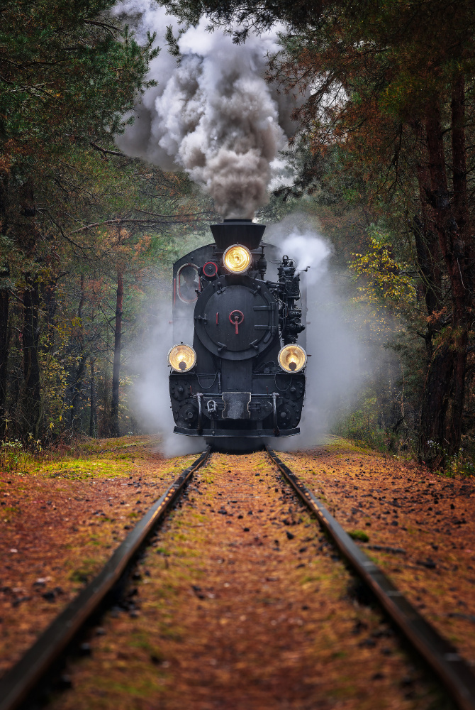 Forest Steam Train by Rafal R. Nebelski — canvas wall art