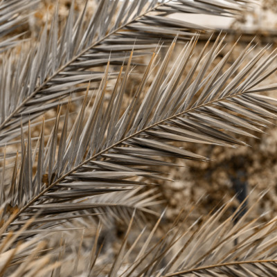 Sicilian Memories 16