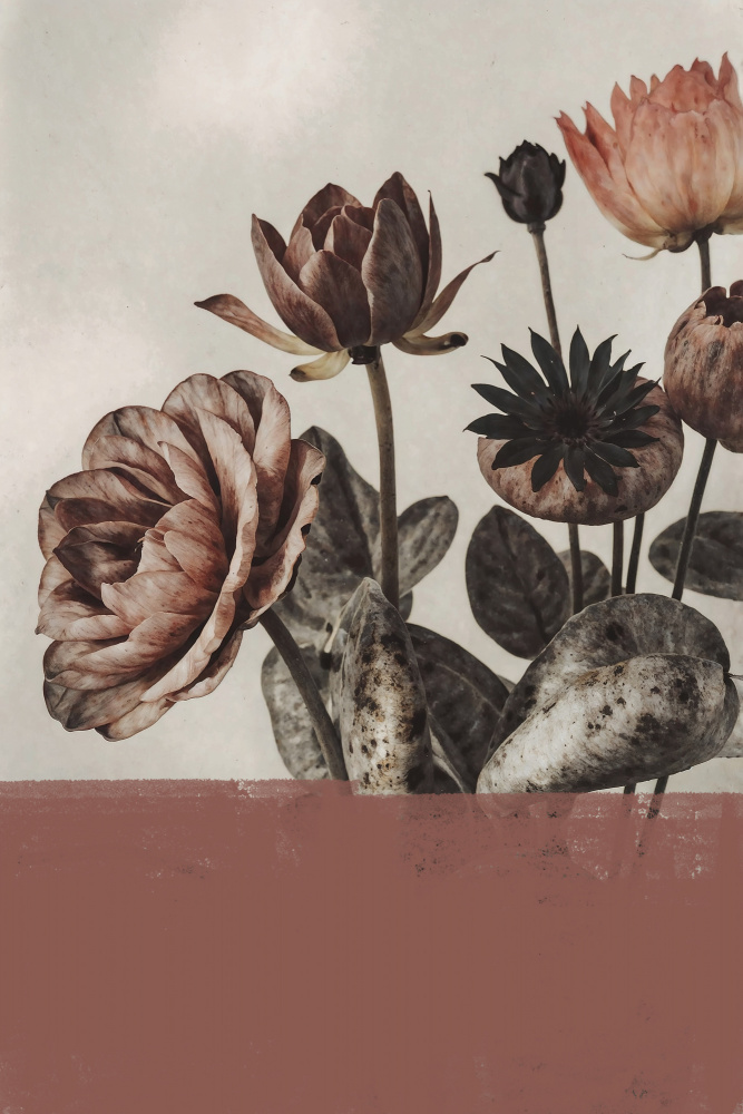 Dusty Rose Botanicals by The Art Concept — canvas wall art
