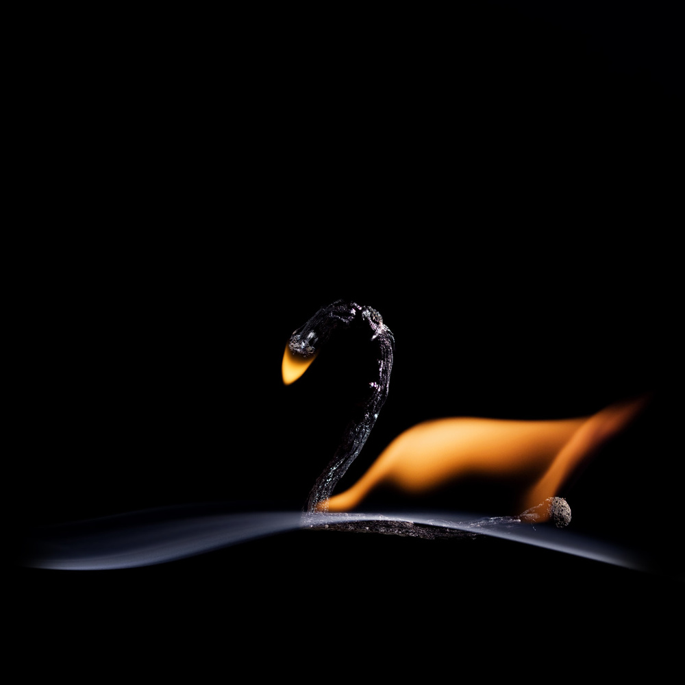 Burning Swan Match by Stanislav Aristov — canvas wall art