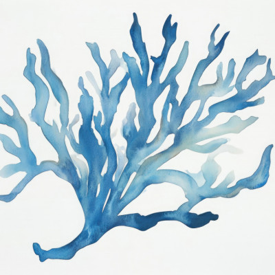Blue Coral