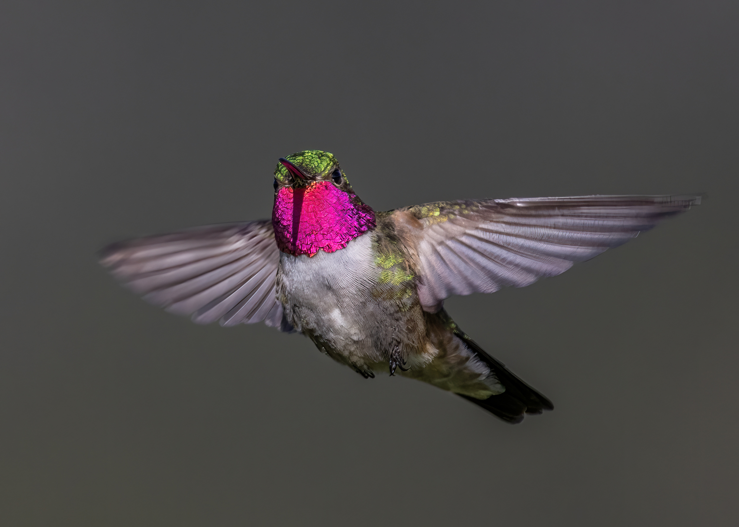 iHover