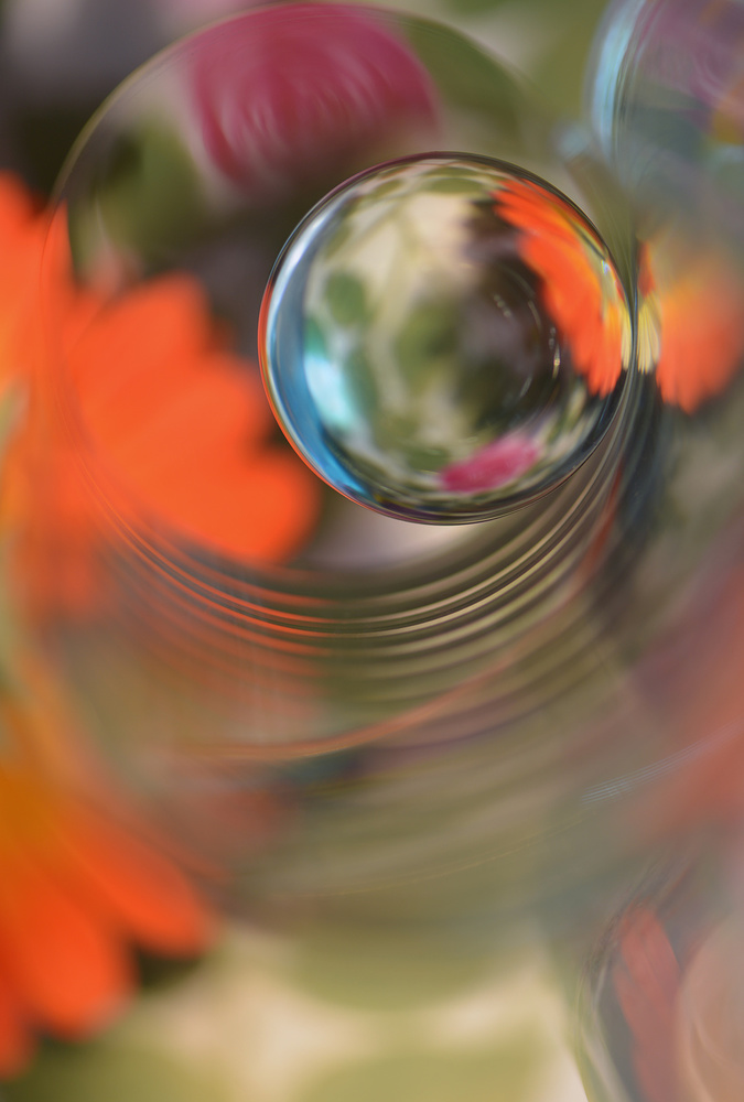 Vibrant Floral Orb by Heidi Westum — canvas wall art