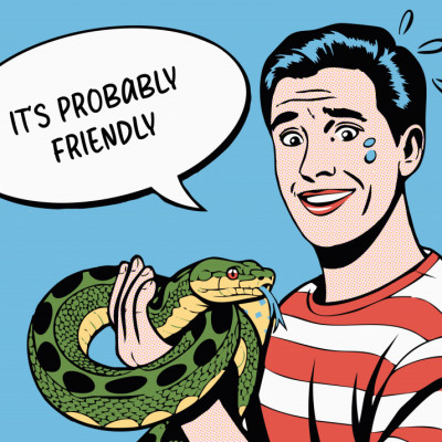 It's Probably Friendly