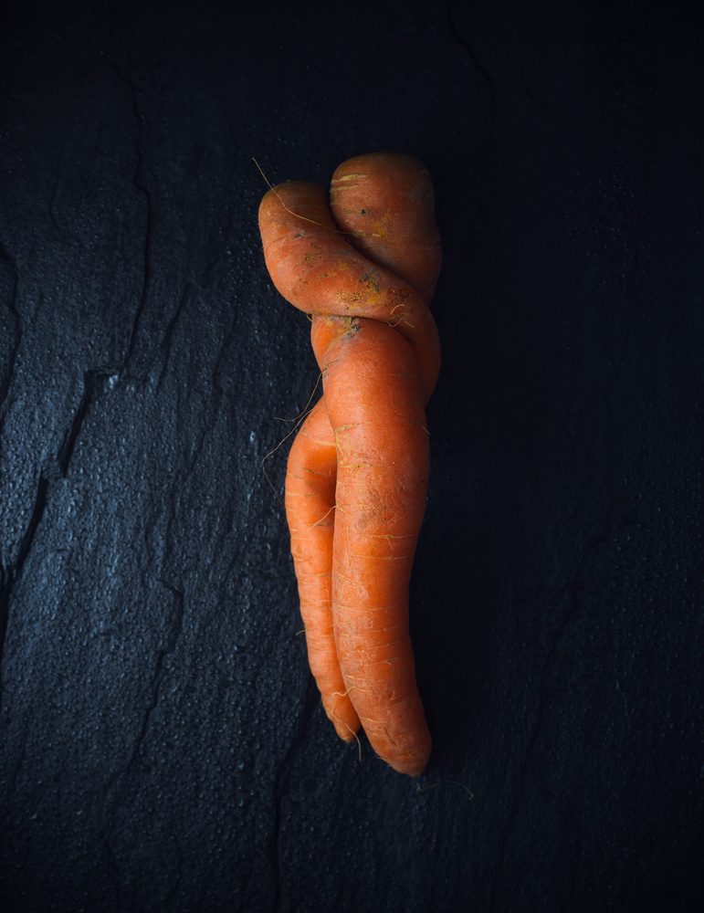 Carrot Embrace by Karina Aleksandrova — canvas wall art