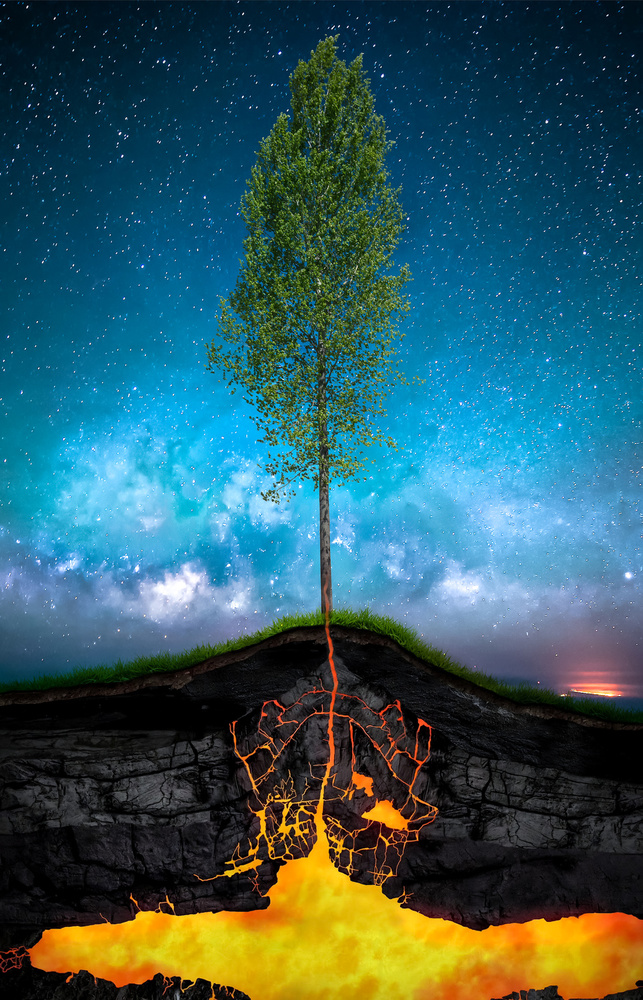 Tree Roots Lava Sky by António Bernardino Coelho — canvas wall art