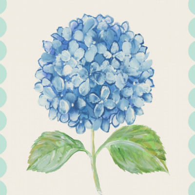 Vintage Blue Hydrangea Bloom