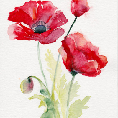 Poppy August