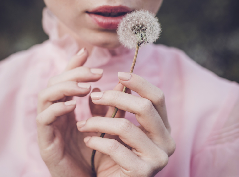 Dandelion Wish by Dorota Gorecka — canvas wall art