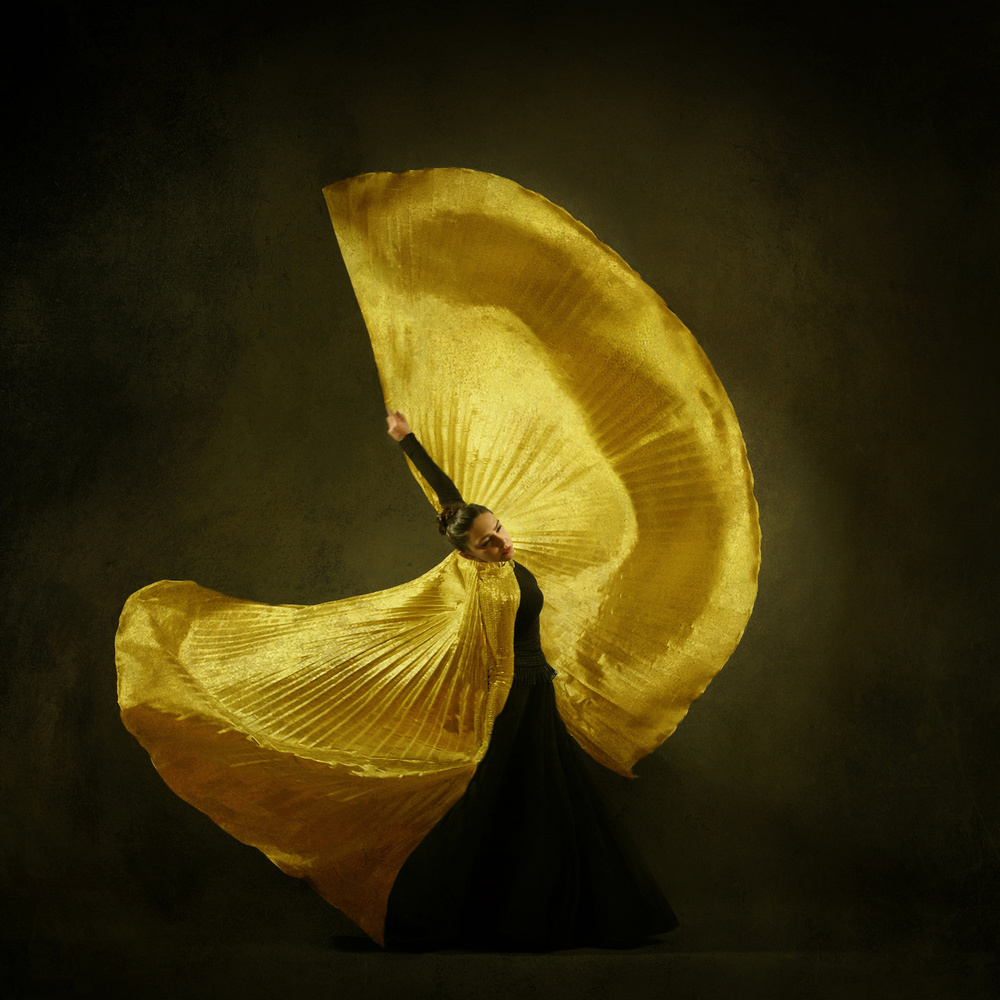 Graceful Golden Dance by Moein Hasheminasab — canvas wall art