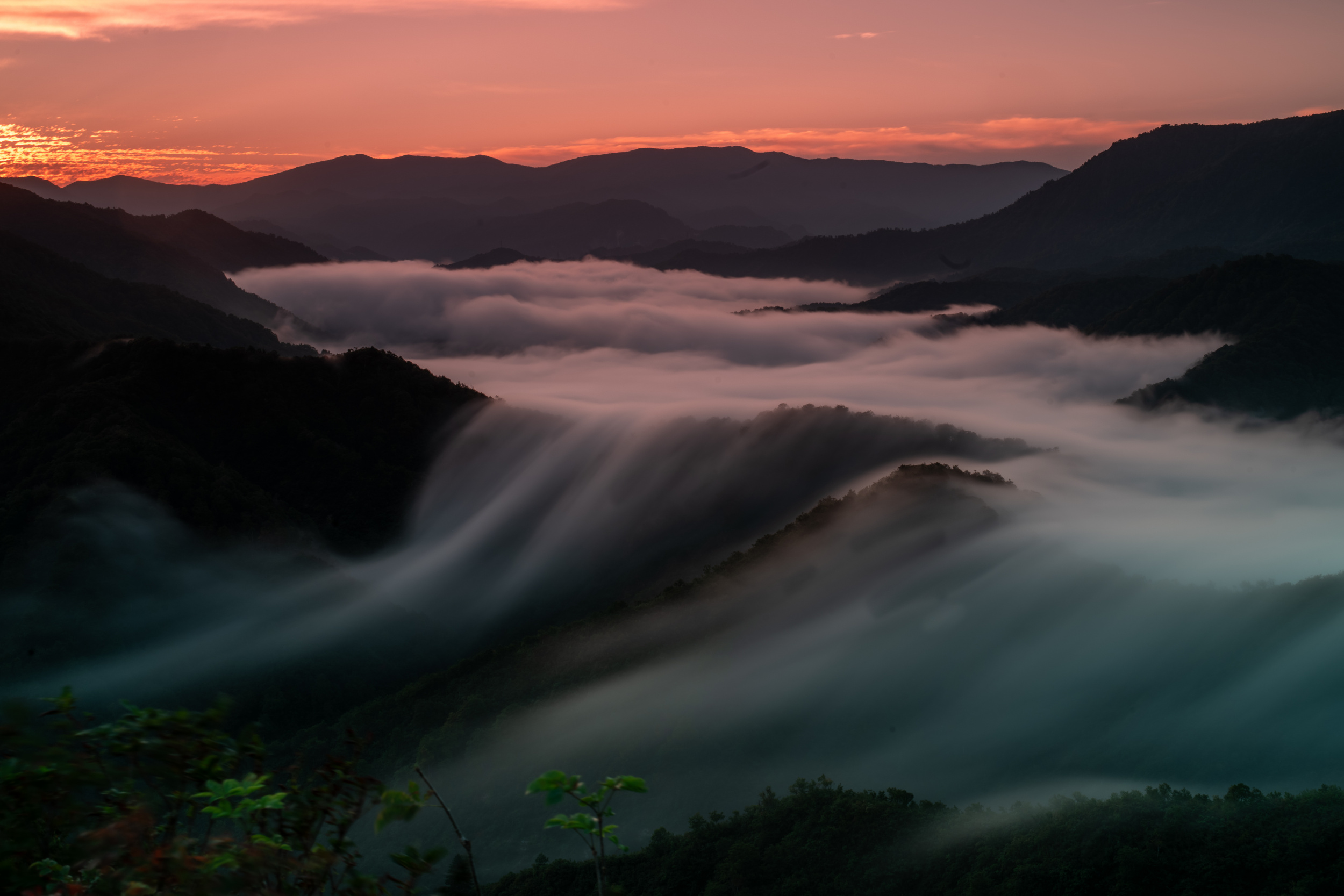 The Silent Cascade