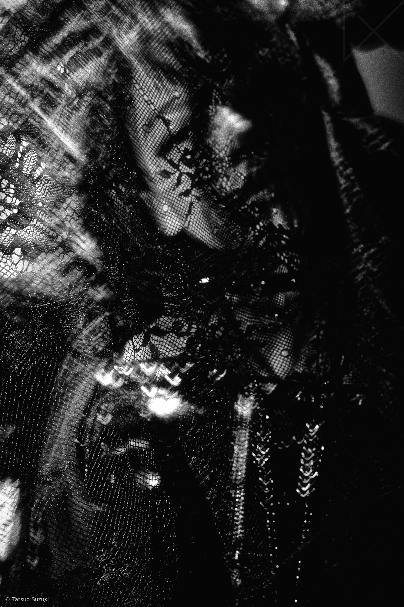 example tatsuo suzuki