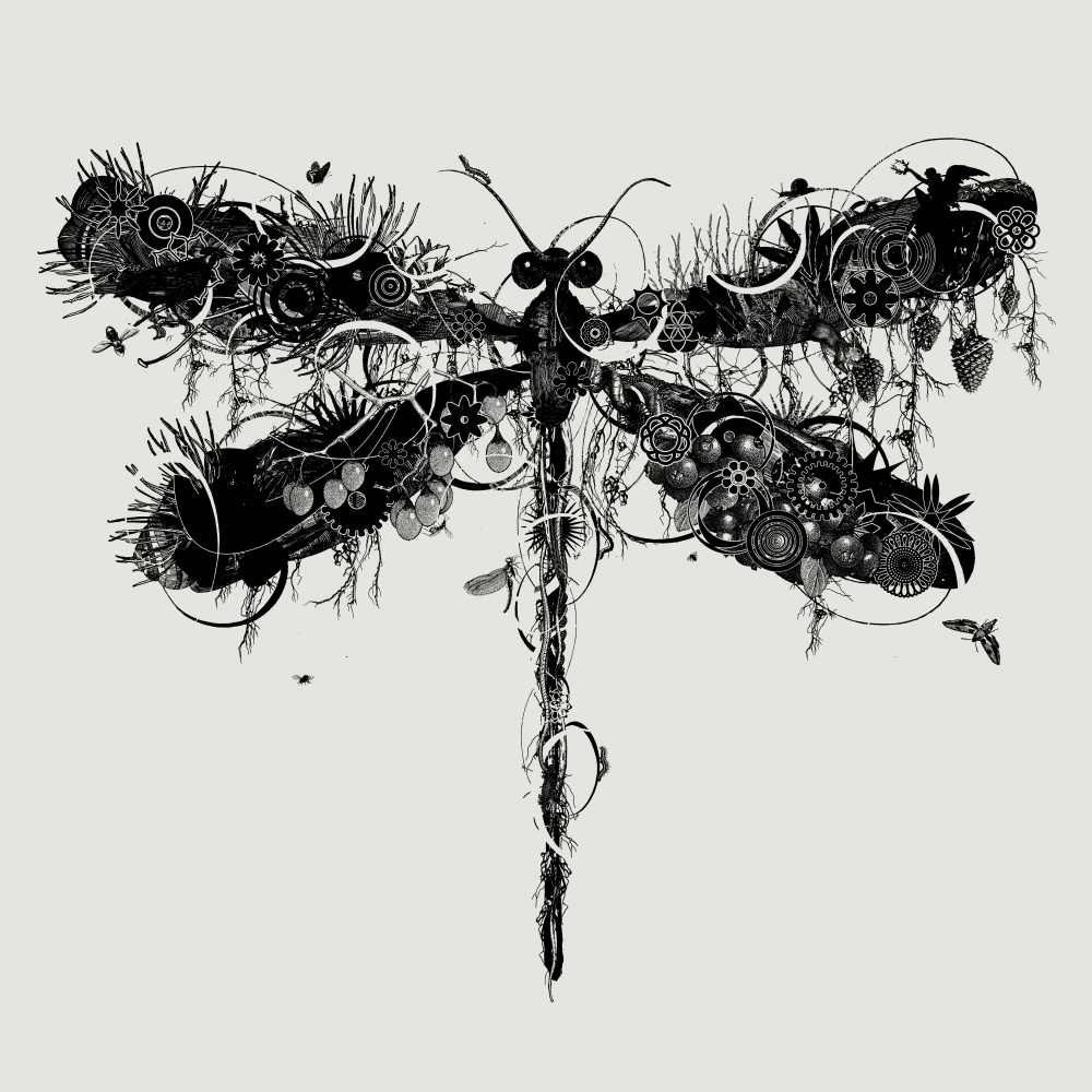 Organic Mechanical Dragonfly by Jaco Putker — canvas wall art