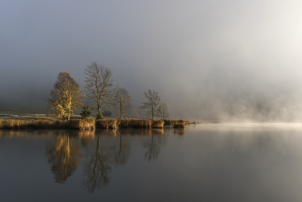 Misty Autumn Lake Reflection by Tom Meier — canvas wall art
