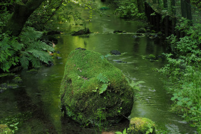 river source by 中林 光次