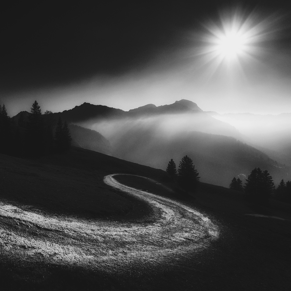 Sunlit Winding Path by Alexej Schulz — canvas wall art