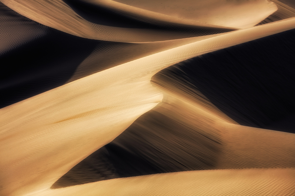 Golden Desert Dunes by Selions(陈磊) — canvas wall art