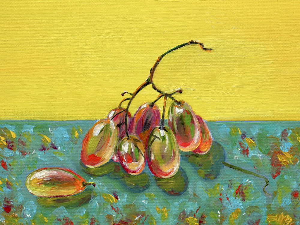 Colorful Grapes Still Life by Marina Kozyr — canvas wall art