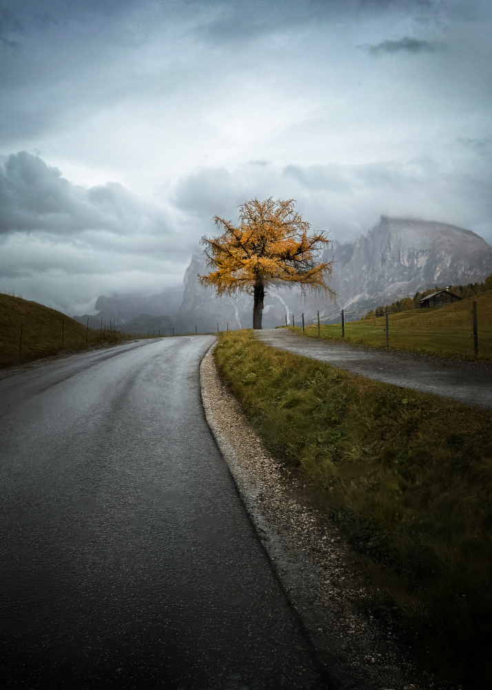 Winding Autumn Road by Chuan Chen APA — canvas wall art