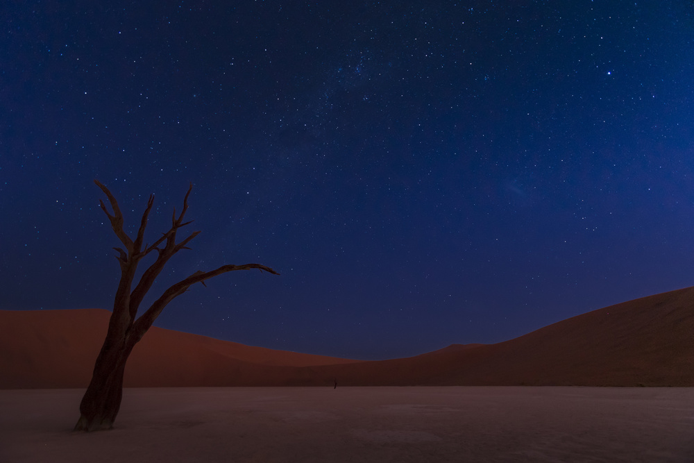 Deadvlei Starry Night by Ali Khataw — canvas wall art