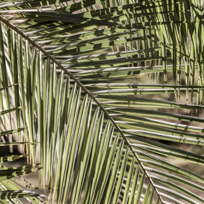 Geometry of Sunlight