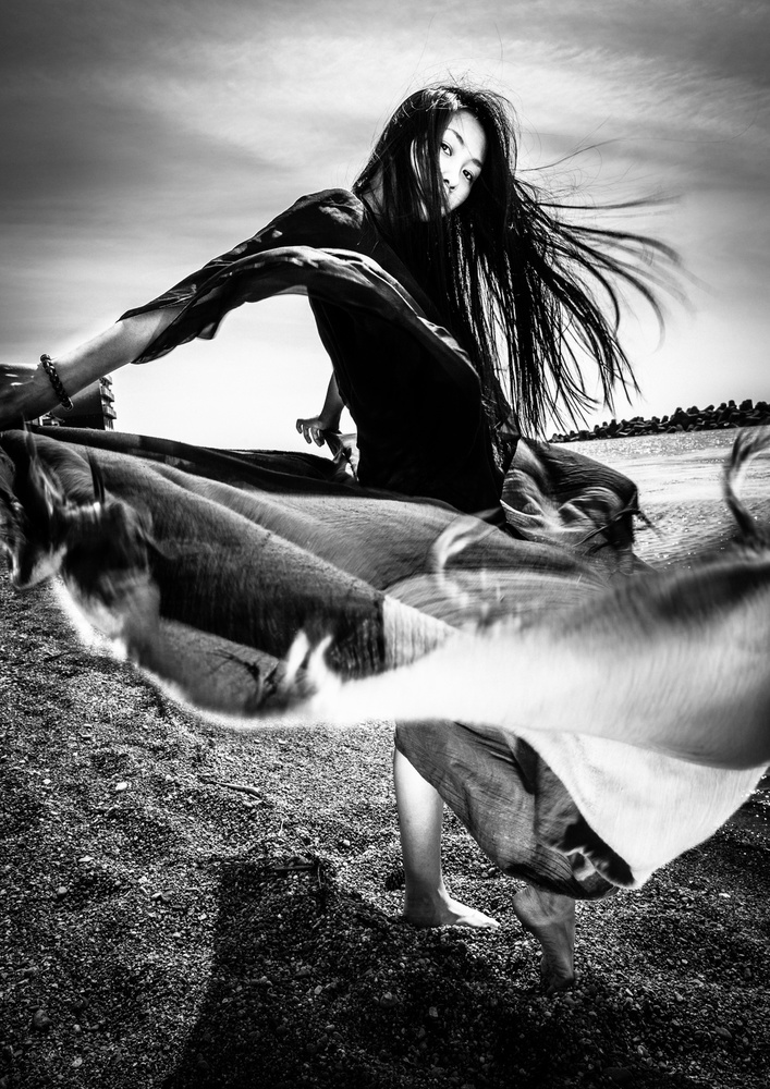 Windblown Elegance by TORU MATSUNAGA — canvas wall art